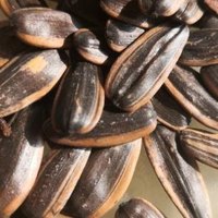 華味亨瓜子古法瓜子就是五香瓜子