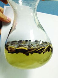 紅茶綠茶奶香 瓜子 高富帥 泡半小時(shí)就變土鱉