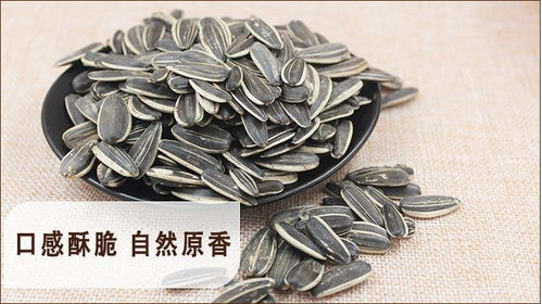 新貨特價(jià) 內(nèi)蒙炒貨原味香瓜子批發(fā)散裝5斤 2斤干炒五香焦糖零食