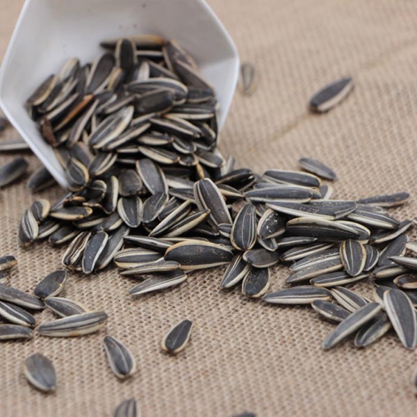 焦糖瓜子 新葵花瓜子五香/奶油/原味 村官瓜子500g包郵 香瓜子-369返利網