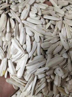 牙簽瓜子，品味生活的雋永滋味