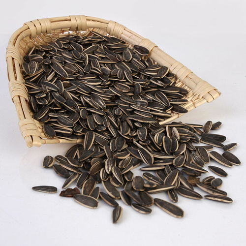 味蕾盛宴 從散裝批發到精致小包裝，探秘五香瓜子的獨特魅力